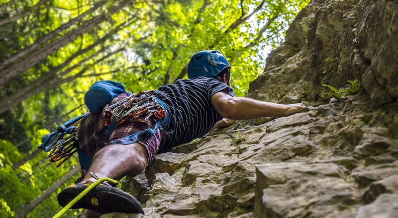 Climbing Varieties