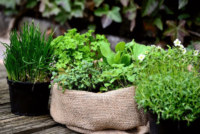 Herb Gardens