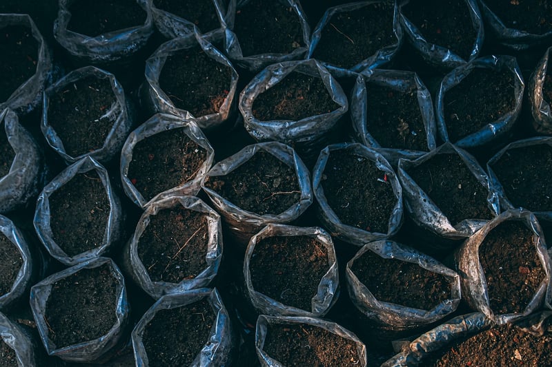 Soil Health