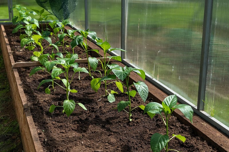 Miniature Indoor Greenhouse