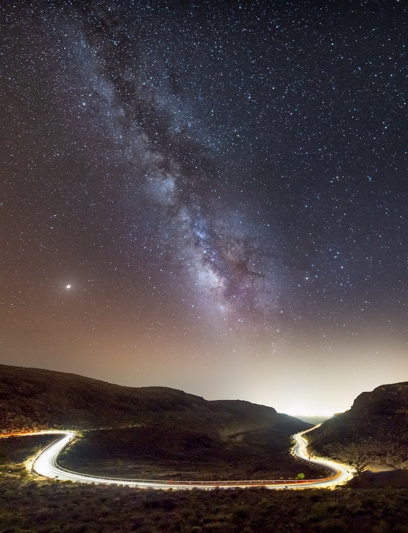 Starry Night Garden